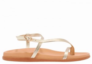 Women Ancient Greek Sandals Aimilia Back-Strap Sandals Gold White | JZN801UY