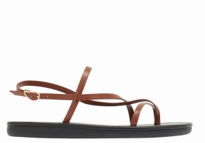 Women Ancient Greek Sandals Alethea Back-Strap Sandals Dark Brown | MWF2865DJ