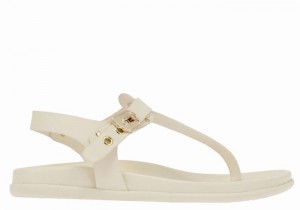 Women Ancient Greek Sandals Alki Flip Flop Back-Strap Sandals White | YNQ8877JU