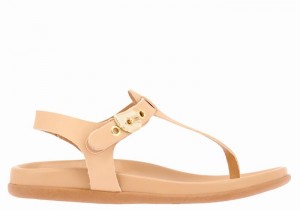 Women Ancient Greek Sandals Alki Flip Flop Back-Strap Sandals Beige | MOF255TO