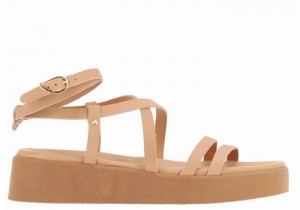 Women Ancient Greek Sandals Aristea Leather Platform Sandals Beige | JDZ2026RA