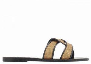 Women Ancient Greek Sandals Desmos Slide Sandals Brown Black | UOZ5697VH