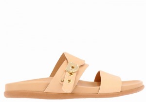 Women Ancient Greek Sandals Latria Slide Sandals Beige | DVM6539ZB