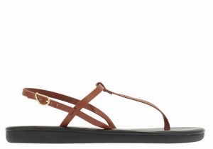 Women Ancient Greek Sandals Lito Flip Flop Back-Strap Sandals Dark Brown | KXH1564XZ