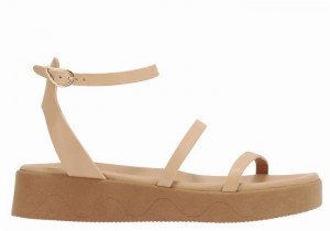 Women Ancient Greek Sandals Nissida Leather Platform Sandals Beige | GHM9185WL