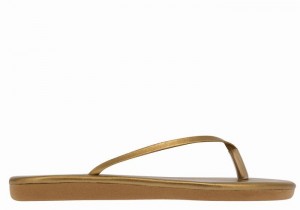 Women Ancient Greek Sandals Saionara Flip Flops Gold Brown | BMX2857MR