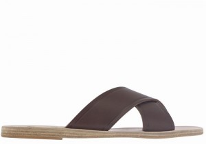 Women Ancient Greek Sandals Thais Slide Sandals Coffee | QFH7898AD