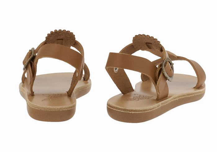 Kids' Ancient Greek Sandals Little Amber Soft Flat Sandals Dark Brown | MCZ3558TI