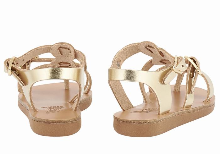 Kids' Ancient Greek Sandals Little Grace Kelly Soft Flat Sandals Gold White | YXE4121XK