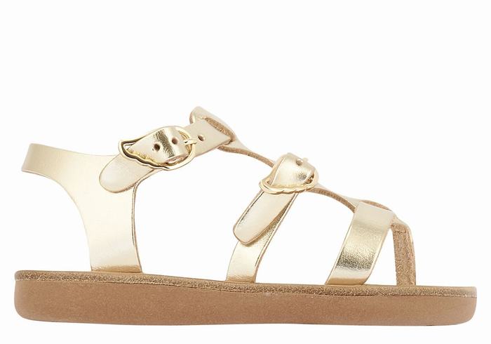 Kids\' Ancient Greek Sandals Little Grace Kelly Soft Flat Sandals Gold White | YXE4121XK