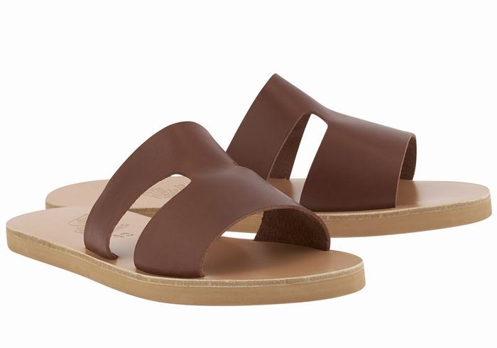 Men Ancient Greek Sandals Apteros Slide Sandals Coffee | OJK9371WR