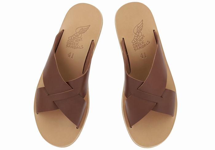 Men Ancient Greek Sandals Bios Slide Sandals Coffee | FEI771SZ