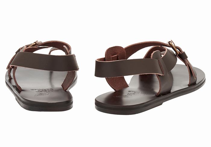 Men Ancient Greek Sandals Paris Leather Toe-Post Sandals Chocolate | BLL24100PU