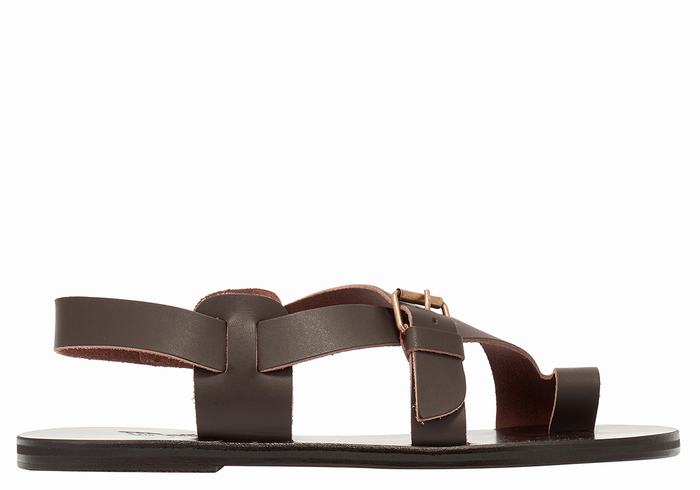 Men Ancient Greek Sandals Paris Leather Toe-Post Sandals Chocolate | BLL24100PU