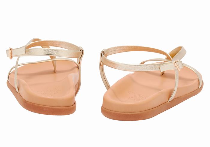 Women Ancient Greek Sandals Aimilia Back-Strap Sandals Gold White | JZN801UY