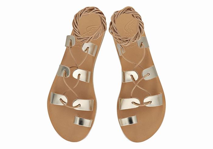 Women Ancient Greek Sandals Alcyone Leather Gladiator Sandals Gold White | BGW1224ZI