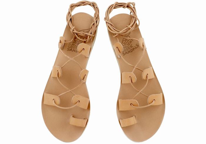 Women Ancient Greek Sandals Alcyone Leather Gladiator Sandals Beige | WEW2574AR