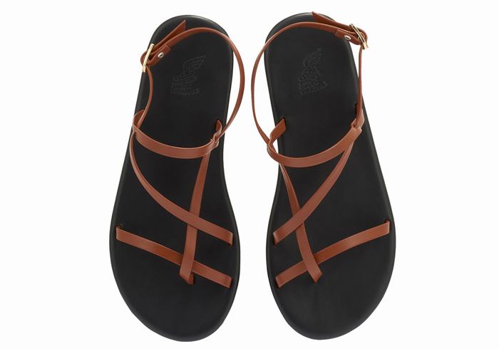 Women Ancient Greek Sandals Alethea Back-Strap Sandals Dark Brown | MWF2865DJ