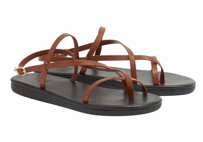 Women Ancient Greek Sandals Alethea Back-Strap Sandals Dark Brown | MWF2865DJ