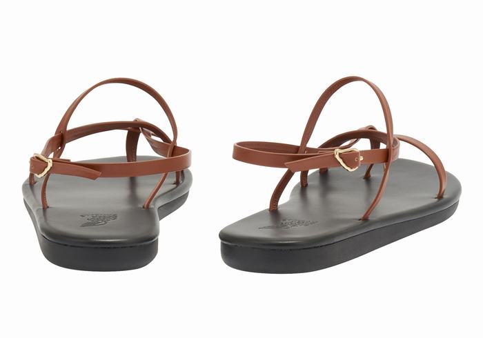 Women Ancient Greek Sandals Alethea Back-Strap Sandals Dark Brown | MWF2865DJ