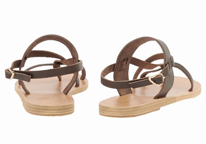 Women Ancient Greek Sandals Alethea Back-Strap Sandals Chocolate | SMC1643TI