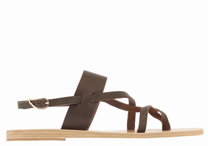 Women Ancient Greek Sandals Alethea Back-Strap Sandals Chocolate | SMC1643TI