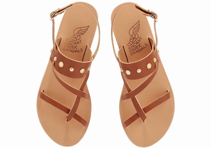 Women Ancient Greek Sandals Alethea Bee Back-Strap Sandals Dark Brown | XQJ3476TV