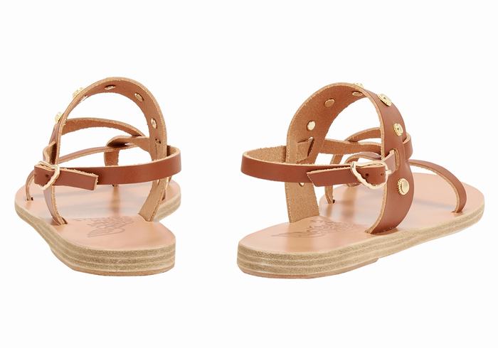 Women Ancient Greek Sandals Alethea Bee Back-Strap Sandals Dark Brown | XQJ3476TV