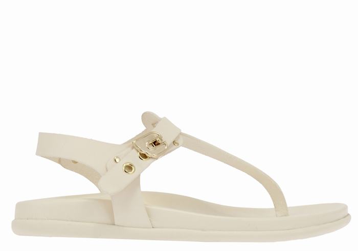 Women Ancient Greek Sandals Alki Flip Flop Back-Strap Sandals White | YNQ8877JU