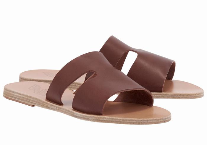 Women Ancient Greek Sandals Apteros Slide Sandals Coffee | BPG9756TF