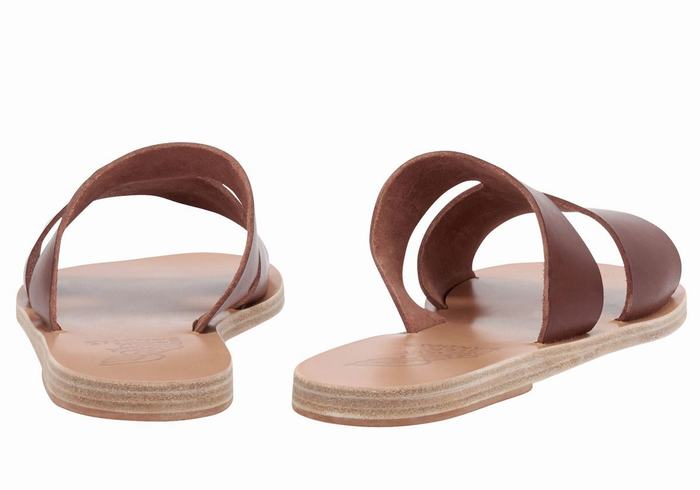 Women Ancient Greek Sandals Apteros Slide Sandals Coffee | BPG9756TF