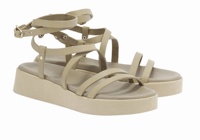 Women Ancient Greek Sandals Aristea Leather Platform Sandals Grey Brown | JZO443MV