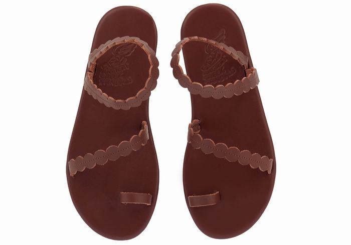 Women Ancient Greek Sandals Aura Toe-Post Sandals Coffee | EYQ7822LE