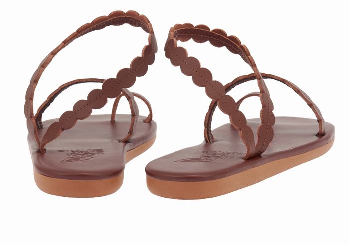 Women Ancient Greek Sandals Aura Toe-Post Sandals Coffee | EYQ7822LE