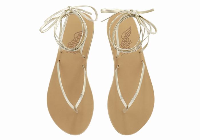 Women Ancient Greek Sandals Celia Gladiator Sandals Gold White | FNP5413QX