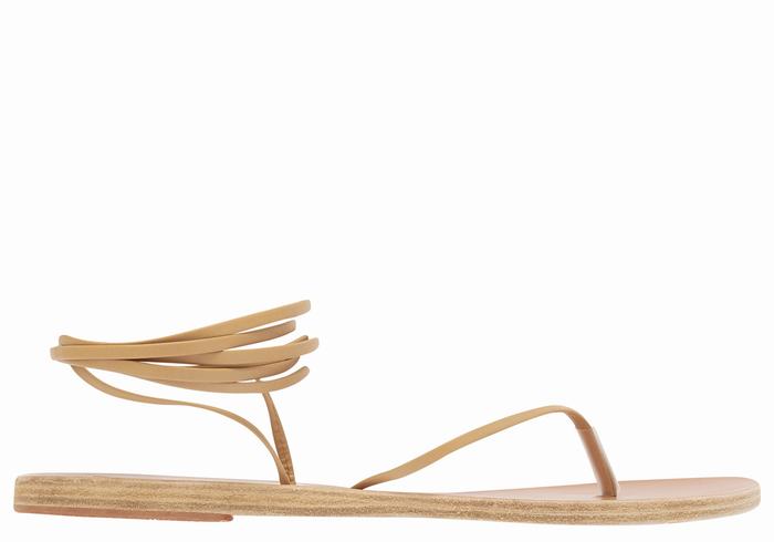 Women Ancient Greek Sandals Celia Gladiator Sandals Beige | TNO208SB