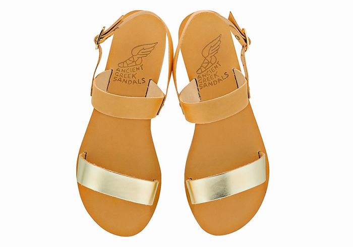 Women Ancient Greek Sandals Clio Back-Strap Sandals Beige Gold White | DLY696MI