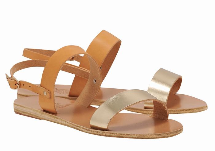 Women Ancient Greek Sandals Clio Back-Strap Sandals Beige Gold White | DLY696MI