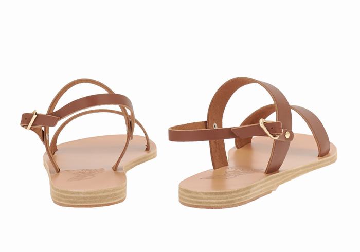 Women Ancient Greek Sandals Clio Back-Strap Sandals Dark Brown | RII5827LM