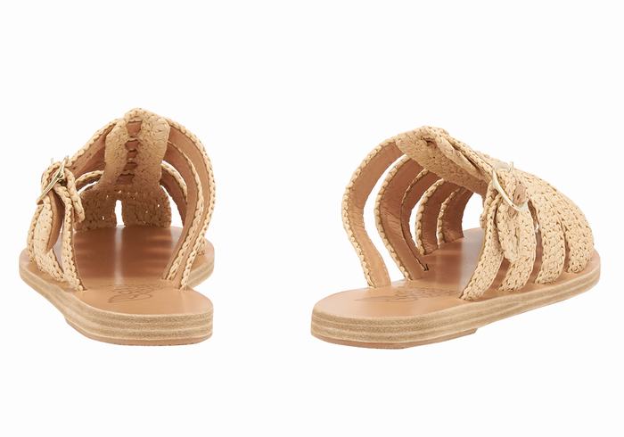 Women Ancient Greek Sandals Cosmia Fisherman Sandals Beige | IVX656VW