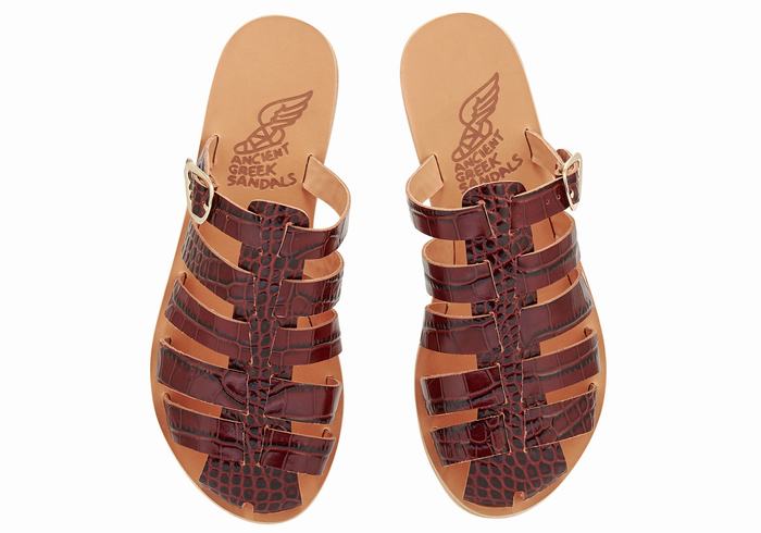 Women Ancient Greek Sandals Cosmia Fisherman Sandals Dark Red Black | GGV756UW