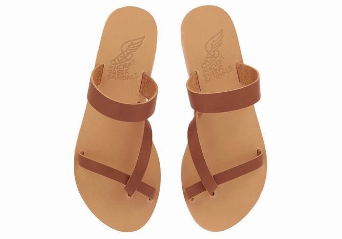 Women Ancient Greek Sandals Daphnae Leather Slide Sandals Dark Brown | FBR3569GR