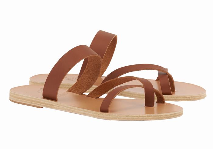 Women Ancient Greek Sandals Daphnae Leather Slide Sandals Dark Brown | FBR3569GR