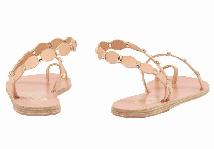 Women Ancient Greek Sandals Dauxerre Toe-Post Sandals Beige Gold | UGD3720OQ