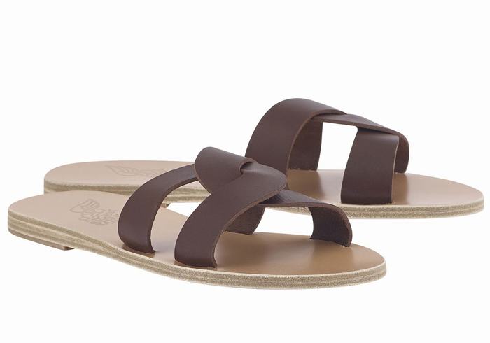 Women Ancient Greek Sandals Desmos Slide Sandals Coffee | MOM5811XG