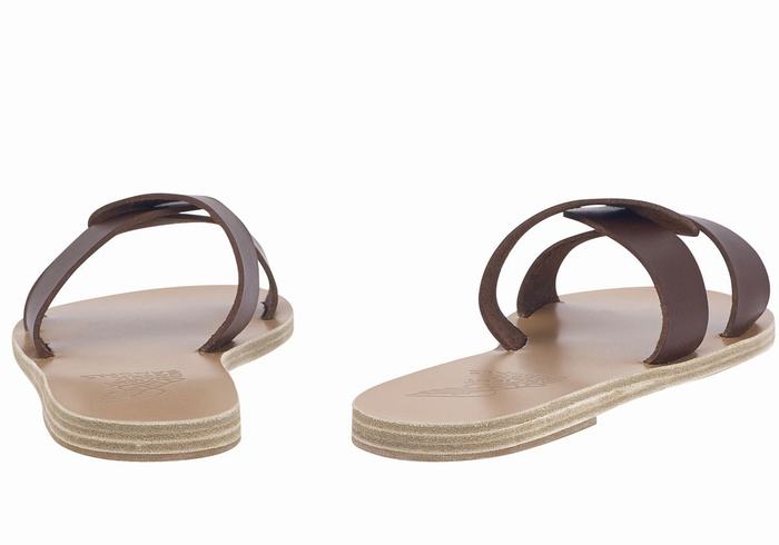 Women Ancient Greek Sandals Desmos Slide Sandals Coffee | MOM5811XG