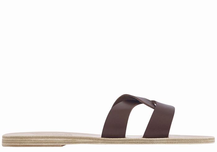 Women Ancient Greek Sandals Desmos Slide Sandals Coffee | MOM5811XG