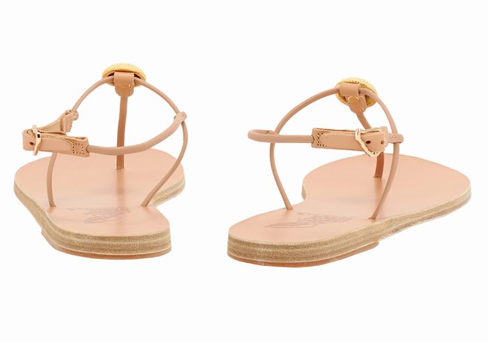 Women Ancient Greek Sandals Dimitra Flip Flop Back-Strap Sandals Beige | MPV9562RB