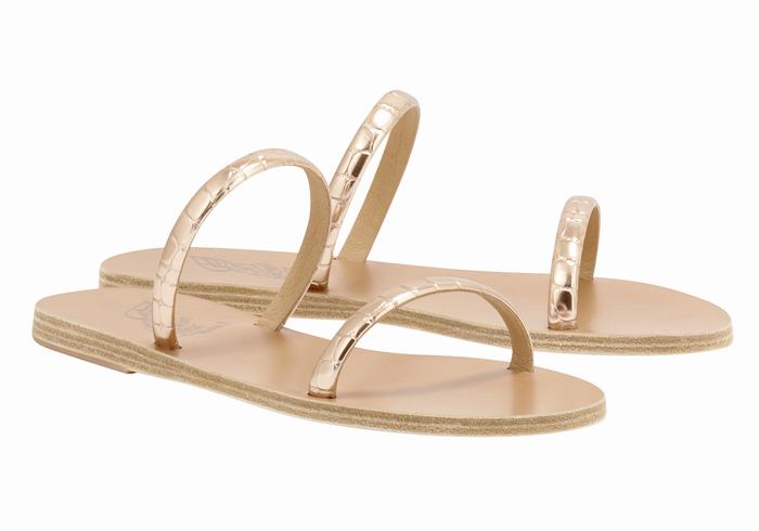 Women Ancient Greek Sandals Echidna Slide Sandals Rose Gold | ZTL9192HB