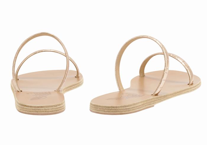 Women Ancient Greek Sandals Echidna Slide Sandals Rose Gold | ZTL9192HB